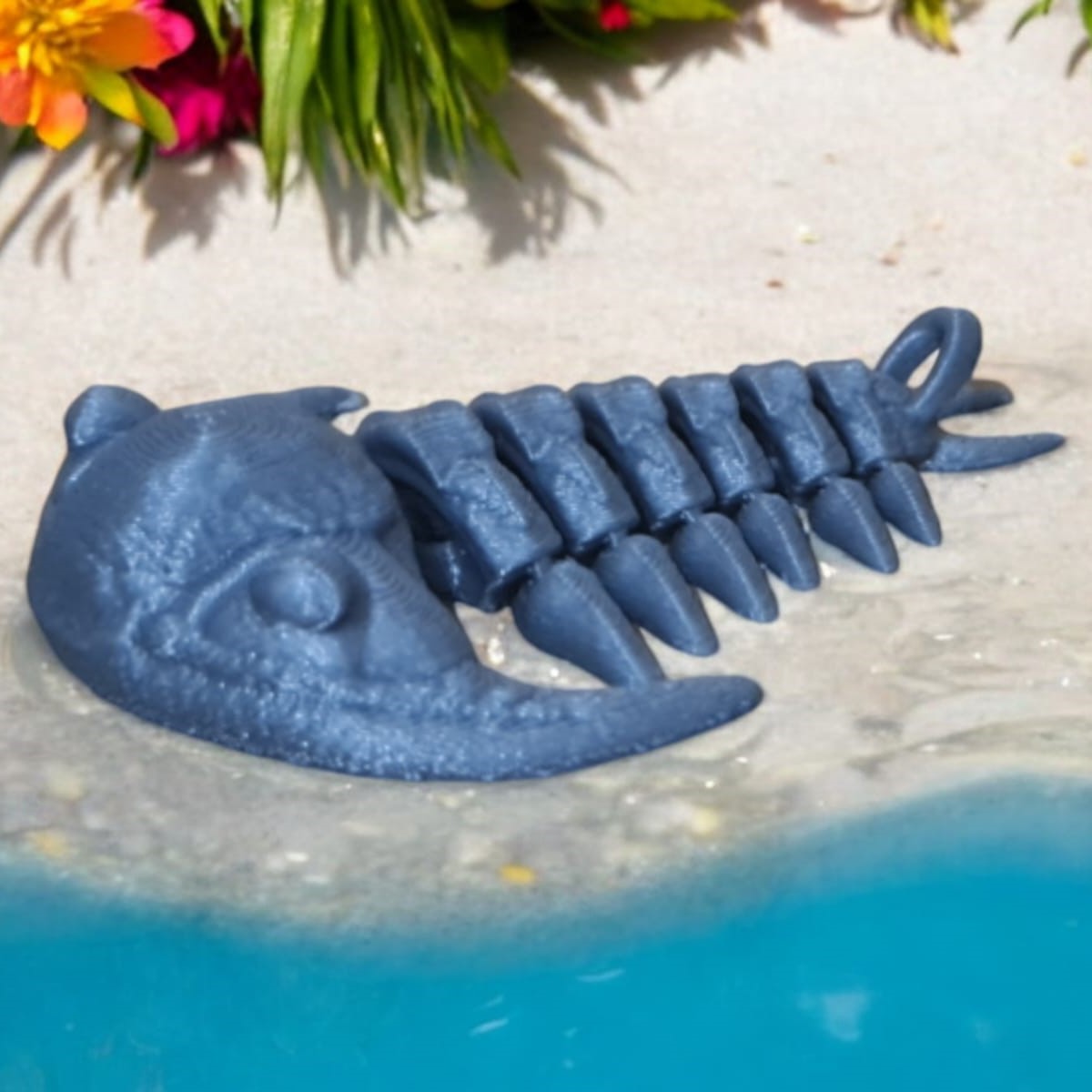 Articulated Trilobite Arthropod